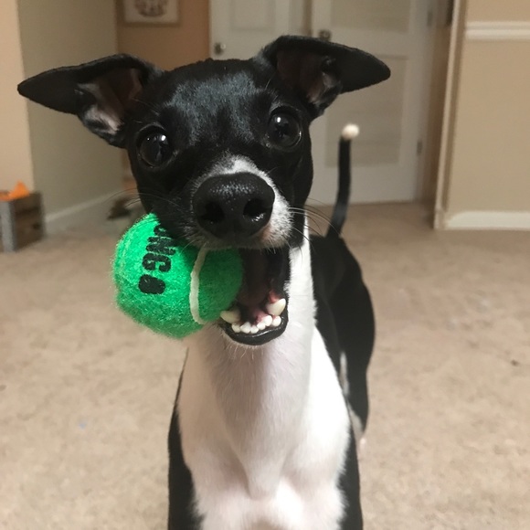 Hey, I’m Lindsay! - Picture 7 of 7